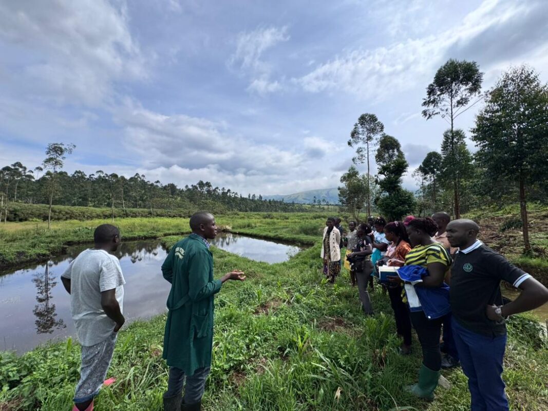 IbandaUniversity-AgricTour