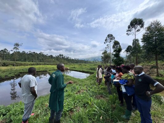 IbandaUniversity-AgricTour